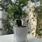 Gear4 Iphone 14 pro Transperent Case