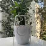 Spigen Iphone 16 pro trasperent Magsafe Case