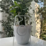 Spigen Iphone 16 Backcase Trasnperent Magsafe